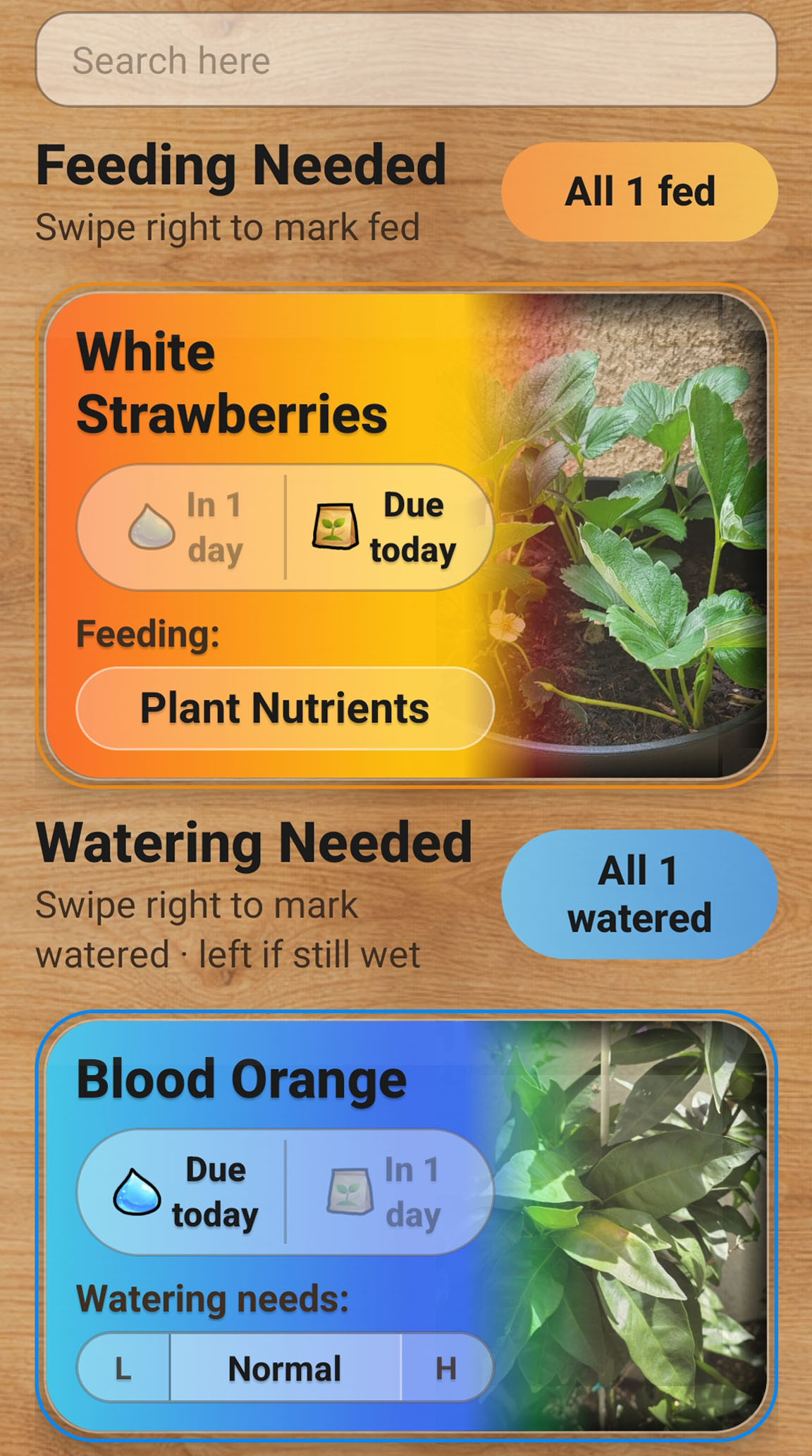 SproutShout garden overview screen